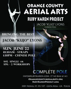 Kujo's Aerial and Pole Workshops
